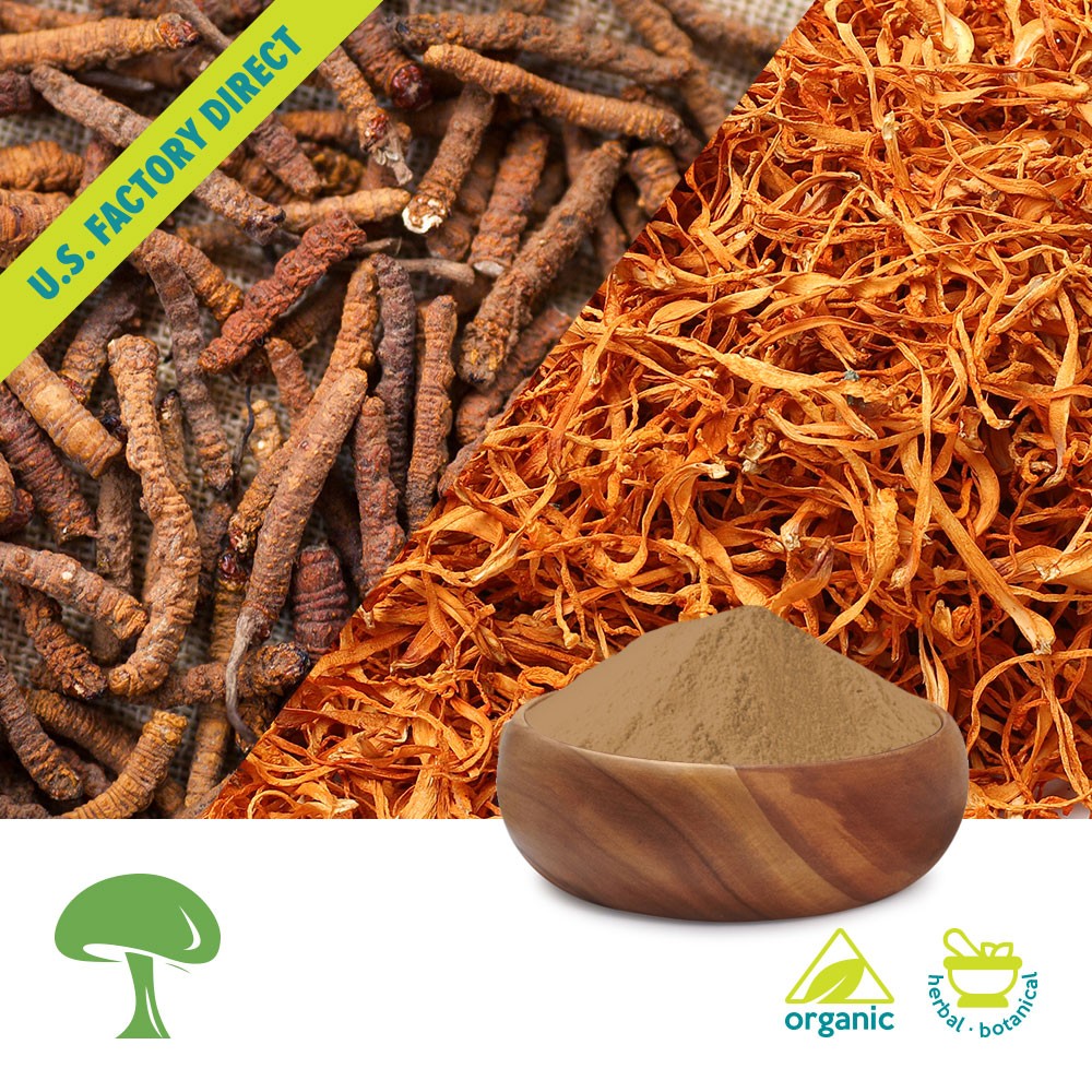 io-productphoto-pure-cordyceps-aloha-botanicals_1__1 (1)